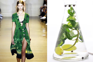 Acqua-aromatizzata-Altuzarra-img-evidenza